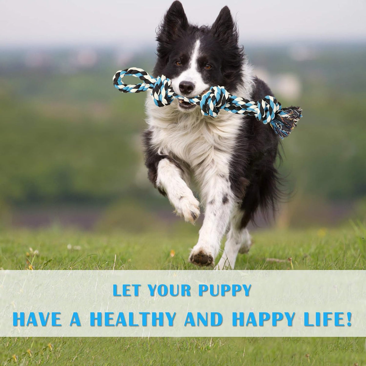 UPSKY Dog Rope Toys 2 Nearly Indestructible Pet Toys for Medium to Large Breed, Dental Cleaning Chew Toys, Dogs Tug Toy for Boredom, Teething for Aggressive Chewers